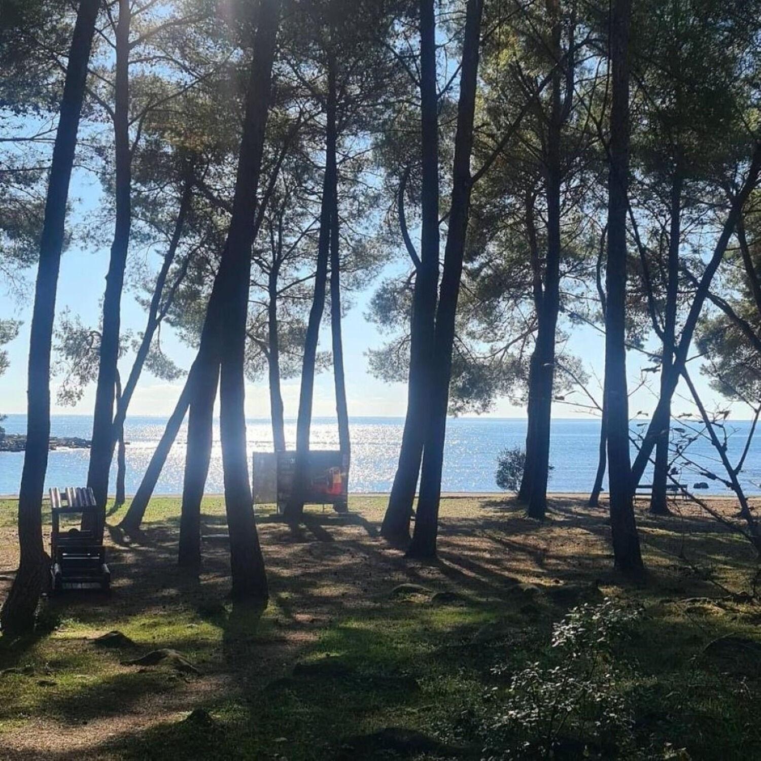 Apartments Berto - 500M To The Beach Rovinj Bagian luar foto
